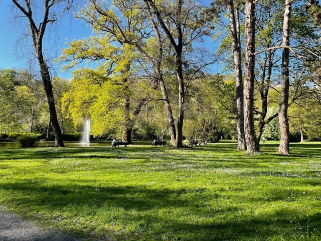 #bendorf #stadtpark #naturephotography